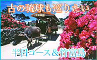 �Ί_���u���[�_�C�u�̏h���Z�b�g�v����