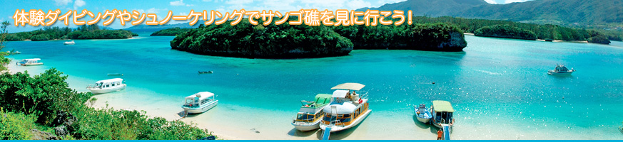 �Ί_���̑̌��_�C�r���O �V���m�[�P�����O �t�@���_�C�r���O�Ȃ炨�C���I