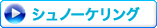 �V���m�[�P�����O�R�[�X�Љ��