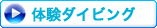 �̌��_�C�r���O�R�[�X�Љ��