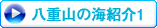 �Ί_���ɂđ̌��_�C�r���O��V���m�[�P�����O�Ō���܂�