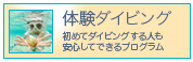 �̌��_�C�r���O