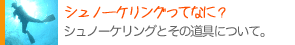 シュノーケリングとは?