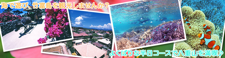 �����B�e
